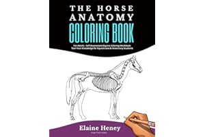 Horse Anatomy Coloring Book For Adults - Self Assessment Equine Coloring Workbook: Test Your Knowledge - For Equestrians & Ve