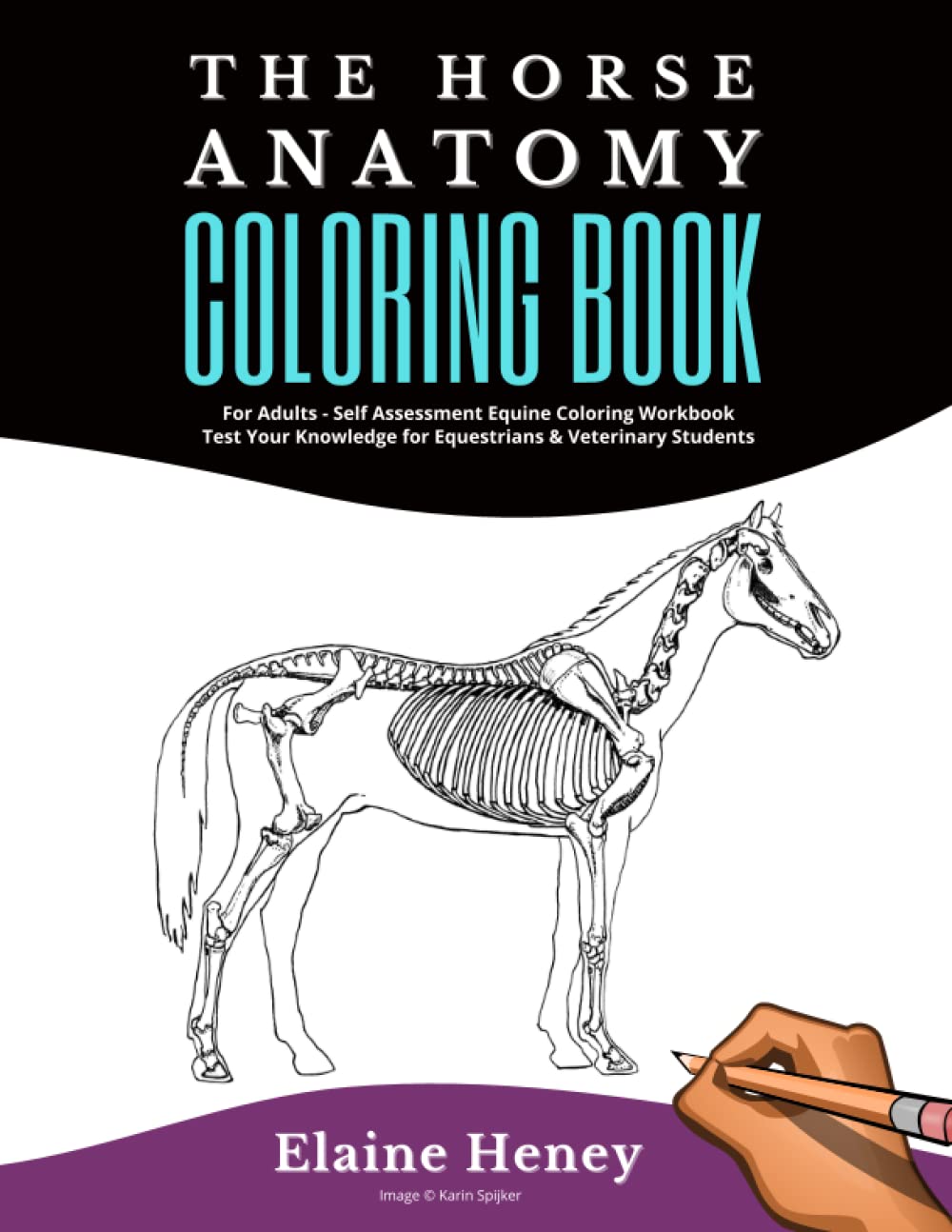 Mua Horse Anatomy Coloring Book For Adults Self Assessment Equine