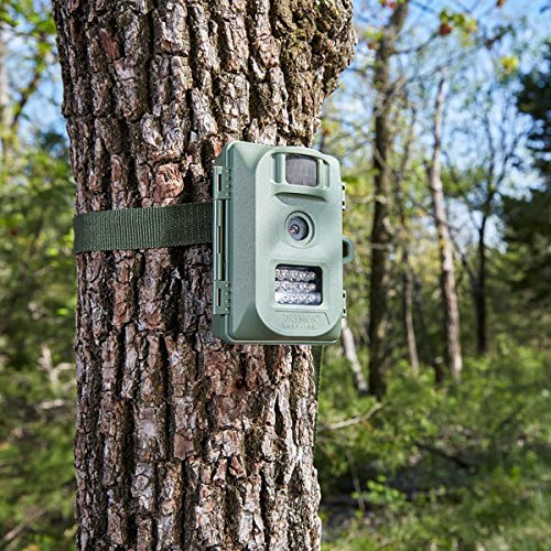 Primos 6MP Bullet Proof Trail Camera with Low Glow LED, Green from