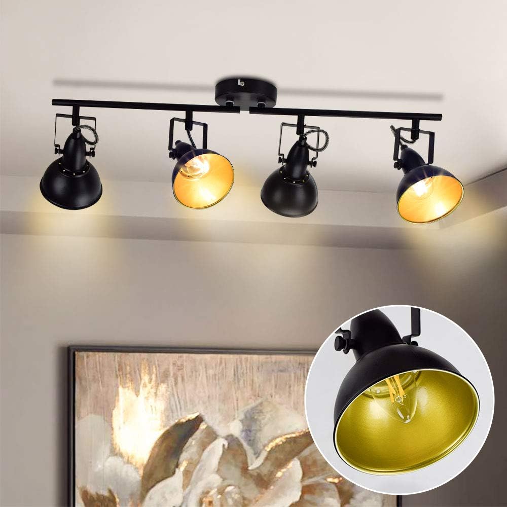 DLLT Adjustable Track Light Kit, Black Ceiling Tracking Lighting