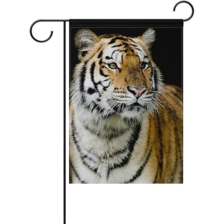 Archiba Beautiful Tiger Isolated On Black Background Garden Flag