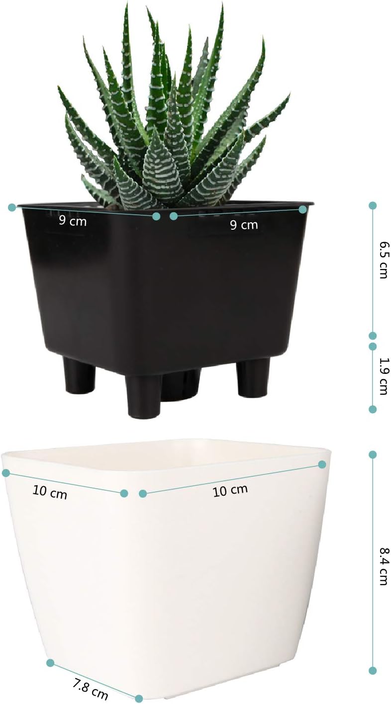 flores hierbas t4u 10cm