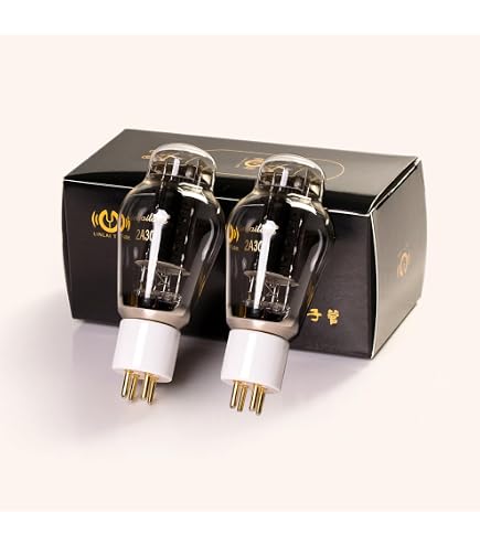 Amazon.com: LINLAI ZX-2A3 1 Pair Matching ZX Series Power Vacuum