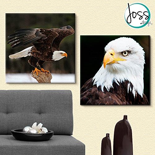WALL ART CANVAS PAINTINGS BY JOSS DESIGN 2 PIECES AMERICAN EAGLE