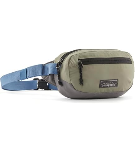 Amazon.com | Patagonia Ultralight Black Hole Mini Hip Pack
