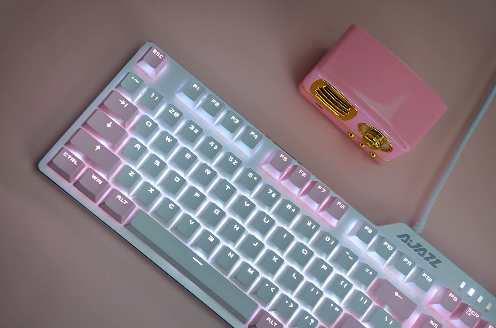 Lomiluskr Wired Mechanical Gaming Keyboard, 104 Keys and 6 Media Keys Anti-Ghosting, 2 Colors PBT Keycap, Hot-swappable Switch, Elegant White Backlight, Aluminum Panel (Pink&White, Blue Switch)