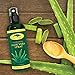 Aloe Vera Plant Juice Spray - Pure Raw Plant Gel, Soothing Moisturizer Relief for Sunburn, Eczema, Razor Bump, Acne & Dry, Damaged Aging Skin - Add To Lotion, Shampoo & Cream (16 oz)