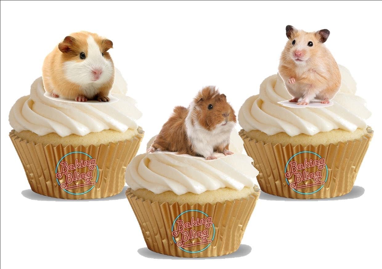guinea pig cake topper