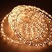 PYSICAL 110V 2-Wire Waterproof LED Rope Light Kit for Background Lighting,Decorative Lighting,Outdoor Decorative Lighting,Christmas Lighting,Trees,Bridges,Eaves (50ft/15M, Warm White)