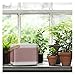B&O PLAY by Bang & Olufsen Beolit 15 Portable Bluetooth Speaker (Shaded Rosa)