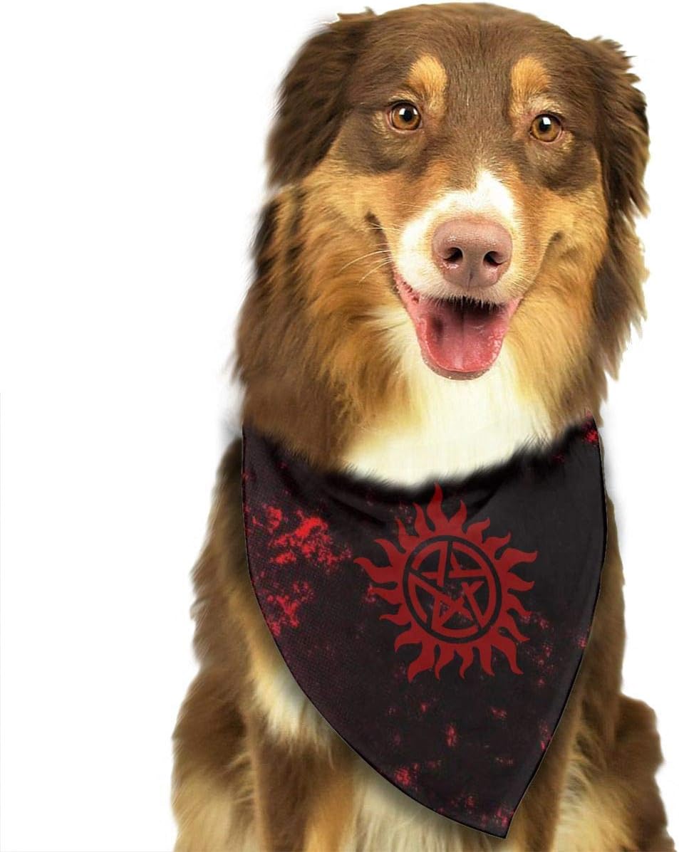 supernatural cat collar