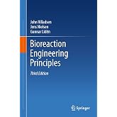 Bioreaction Engineering Principles