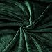 Exclusivo Mezcla Fleece Blanket Queen Size for Bed, Super Soft and Warm, All Season Use, Cozy, Plush, Lightweight, 90x90 Inches, Forest Green