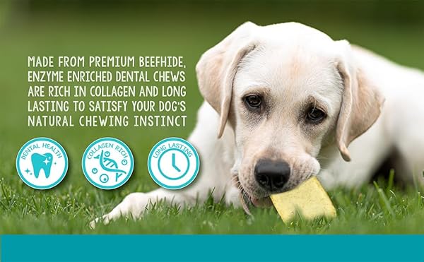 REAL HIDE | ENZYME ENRICHED DENTAL CARE DOG DENTAL CHEWS | SMALL | 8.5 OZ