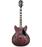 Amazon.com: GROTE Jazz Electric Guitar Hollow Body Chrome Hardware