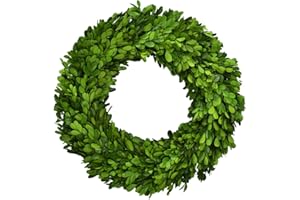 BOXWOOD WORLD Boxwood Wreath 14" Preserved Natural Boxwood Wreath Home Decor Keep Fresh for Years Home Wreath Decor (Preserved Boxwood)