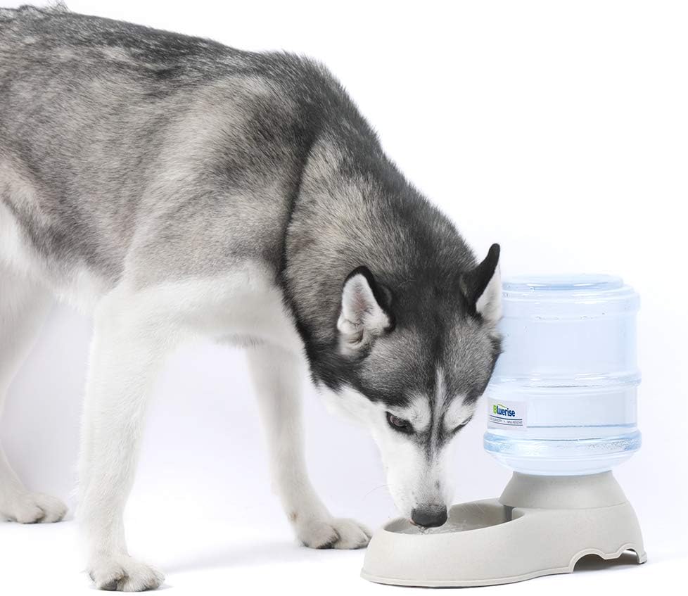Kitchen & Dining : BLUERISE Automatic Pet Feeder Small Medium Pets Automatic Food Feeder and Waterer Set 1 Gal Travel Supply Feeder and Water Dispenser for Dogs Cats Pets Animals Gravity Dog Water Fountain : 