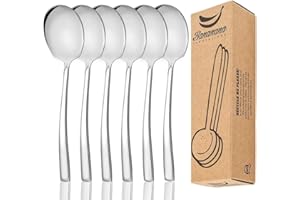 Stainless Steel Serving Spoon Set of 6 Pieces for Catering, Dishwasher Safe, Large Serving Utensils of 9 Inches Spoons