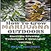 How to Grow Marijuana Outdoors: Guerrilla Growing Techniques & Strategies by 