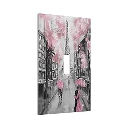 Paris City Light Switch Cover Single Toggle
