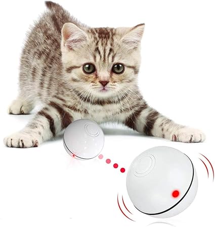 self rolling ball for cats