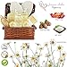 Large Spa Gift Basket. Tropical Islands Clean Getaway Spa Basket with Bubble Bath, Beach Bath Bombs etc.Best Thank You, Get Well, Gift Baskets for Men, Women, Teens, & Friends Gifts