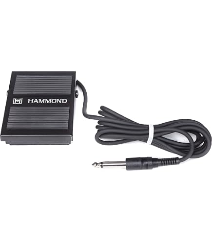 Amazon.com: Hammond FS-9H Foot Switch : Industrial & Scientific