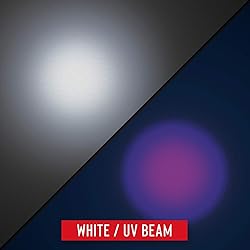 Coast PX300 150 Lumen, 400nm Dual Color
