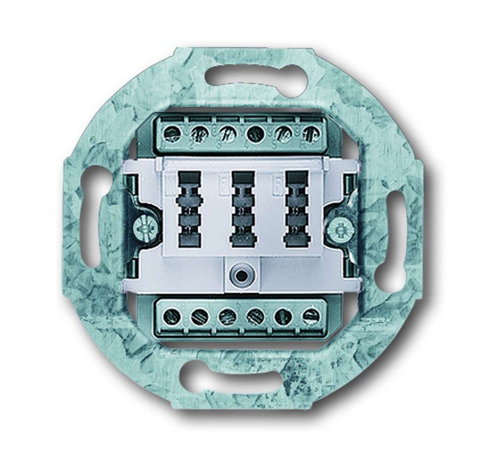 Busch-Jaeger 0242/04 Tae Socket