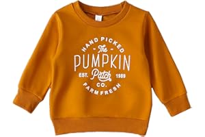 BOEBNOZCV Christmas Outfit Toddler Baby Girl Pink Sweatshirt Long Sleeve Crewneck Pullover Xmas Santa Shirt Tops Winter Clothes