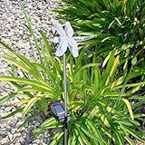 BIRUGEAR Solar Dragonfly Color Change Light E2175 (Set of 2)