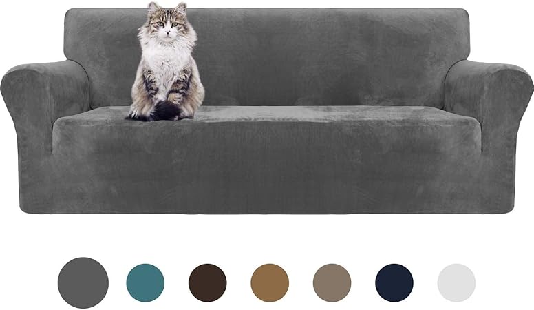 velvet sofa with dogs