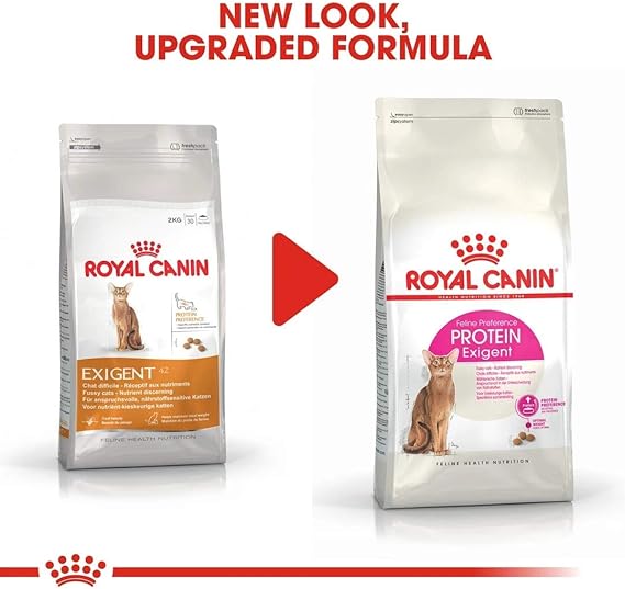 protein exigent royal canin
