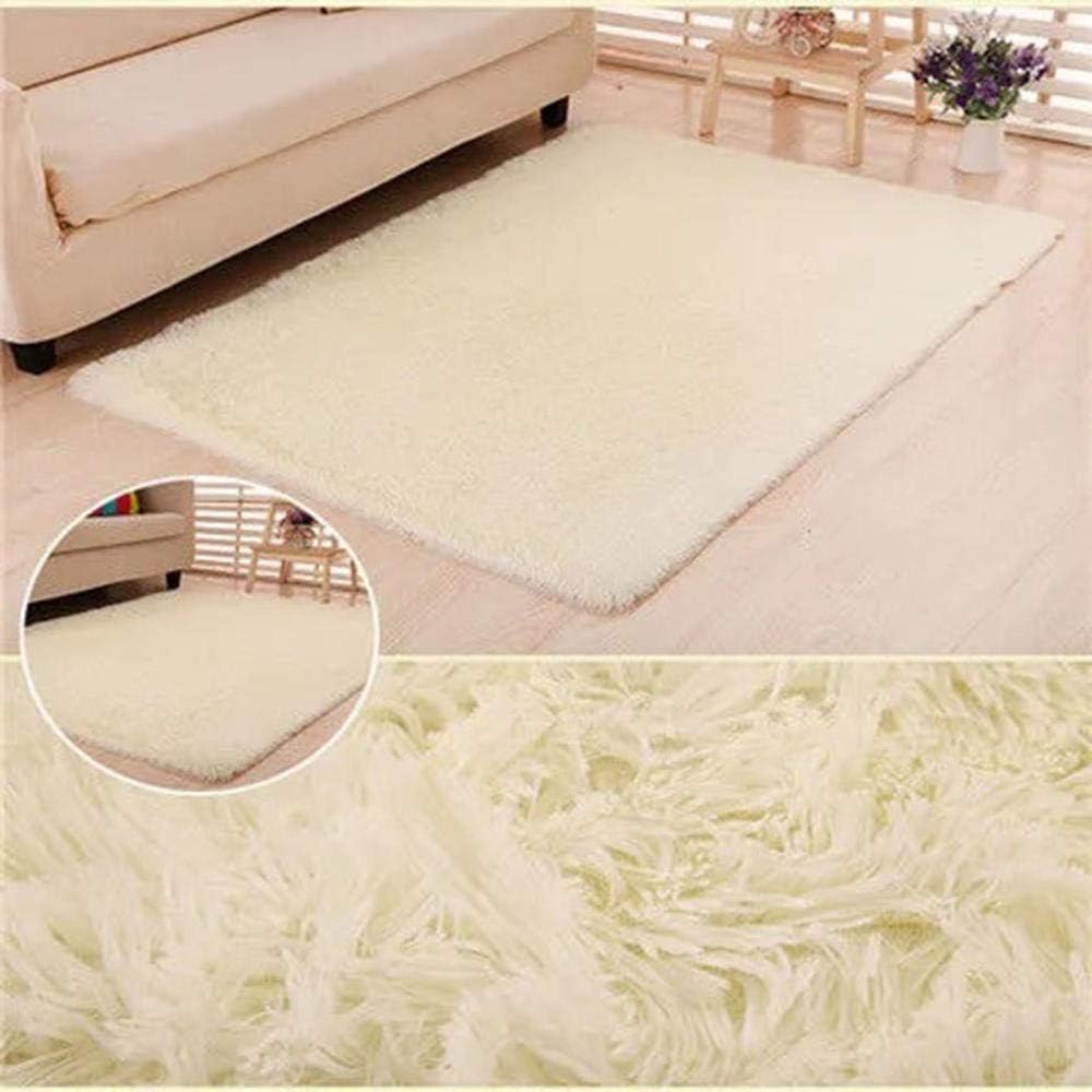 Eastbride Shaggy Silky Plush Carpet,Modern minimalist carpet, living