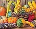 Springbok's 1000 Piece Jigsaw Puzzle Harvest Colors - Made in USA