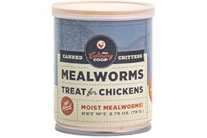 Fluker's Culinary Coop Canned Mealworms Chicken Treat, All Natural and Packed with Protein, 2.75 oz