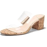 Coutgo Women's Clear Heeled Sandals Transparent Two Strap Chunky Block Heels Mules Open Toe Slip On Dress Shoes