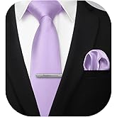 HISDERN Mens Ties Solid Color Wedding Ties and Pocket Square Neckties Clip Sets Business Formal Satin Ties for Men