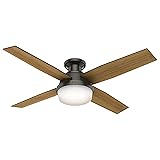 Hunter Fan Company 59447 52" Dempsey Indoor Low