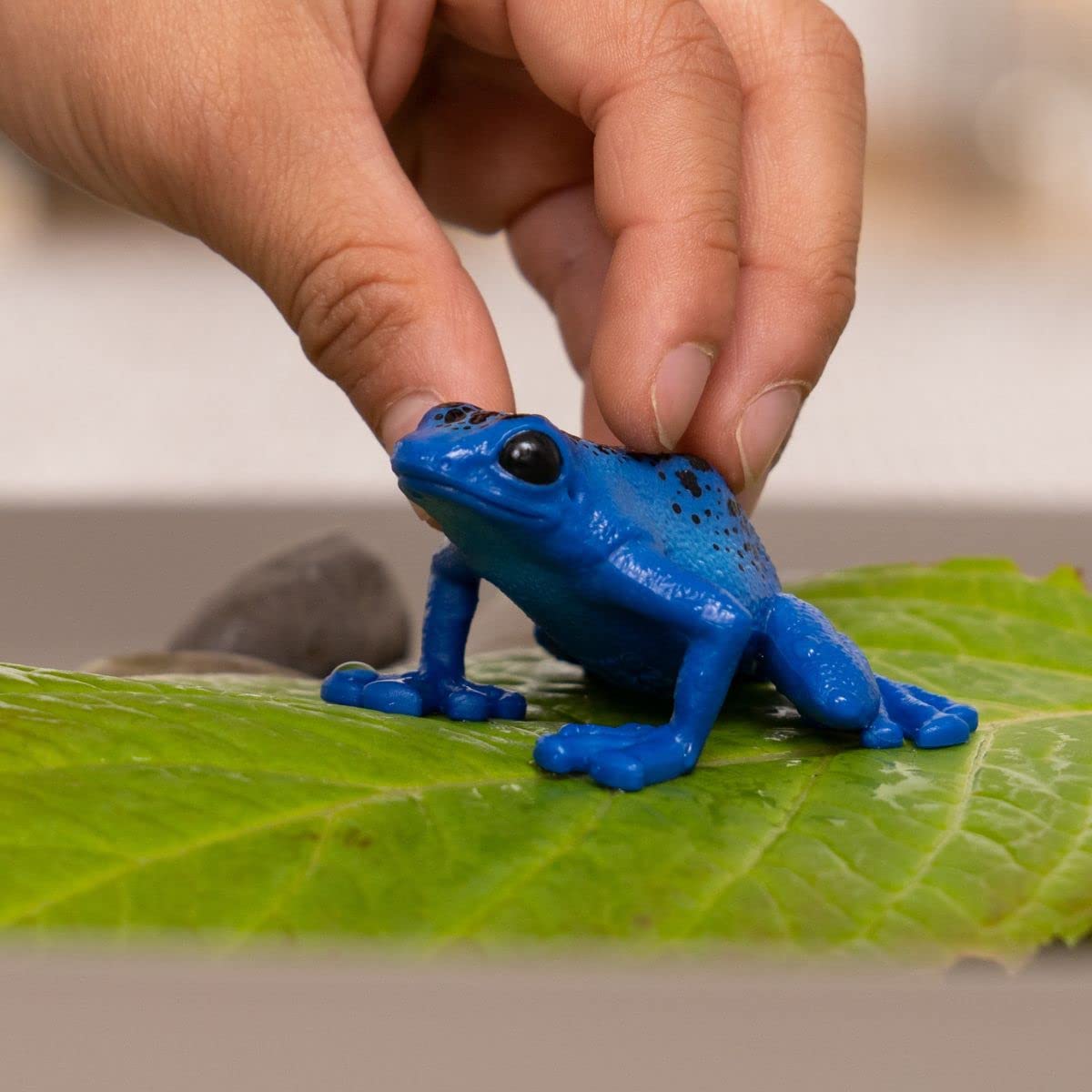 SCHLEICH WILD Life | Blauer Pfeilgiftfrosch 14864 | detailgetreue Tierfiguren | Zoo Spielzeug | tolles Geschenk für Jungen und Mädchen | Deko für Geburtstag | Spielfigur ab 3 Jahren | 5 x 5 x 3 cm 2