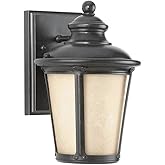 Generation Lighting 88240DEN3-780 Cape May One Light Outdoor Wall Lantern, Burled Iron Finish