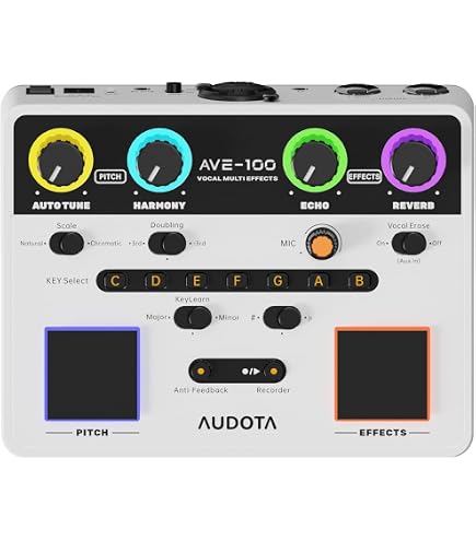 Amazon.com: Roland VT-12 Vocal Trainer, Black : Musical Instruments