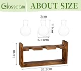 Glasseam Propagation Station 3 Pcs Glass Vase with Wooden Stand view 5