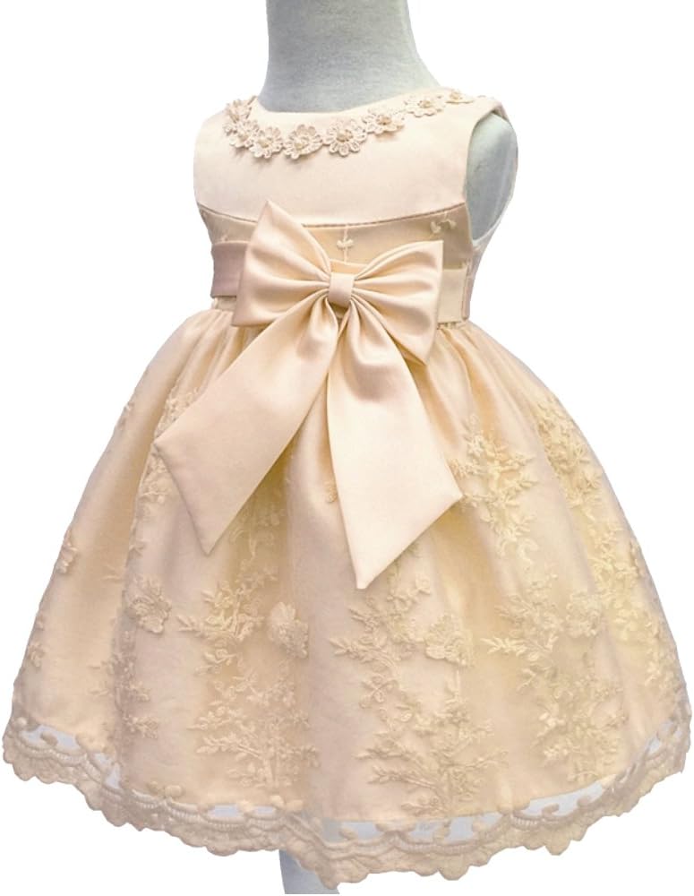 Toddler Baby Girls Embroidered Christing Pageant Birthday Party Dress