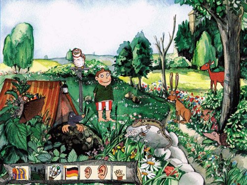 Oscar The Balloonist Drops Into The Countryside Amazonco - 