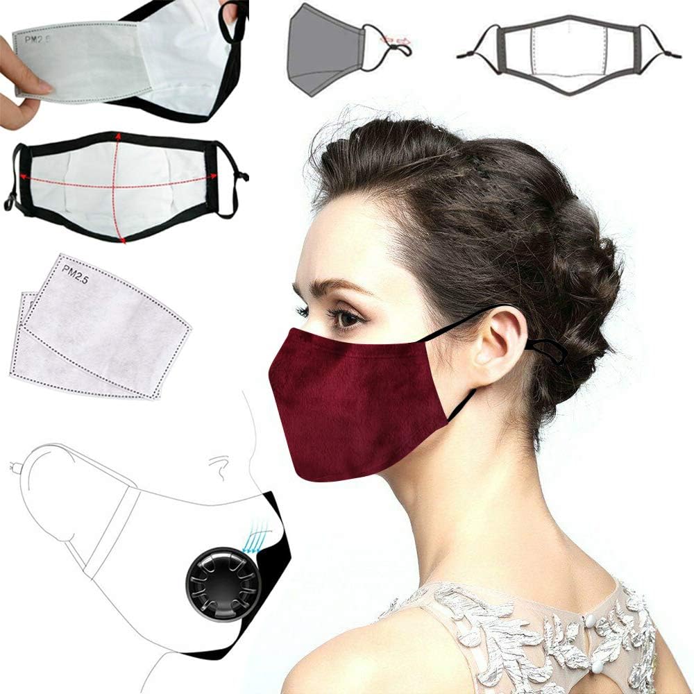 PM2.5 Anti Pollution mask Activated Carbon Filter for Breathing Insert Protective Reusable Cotton for adult Outdoor Activities （1 Mask + 2 Filters） (Red)