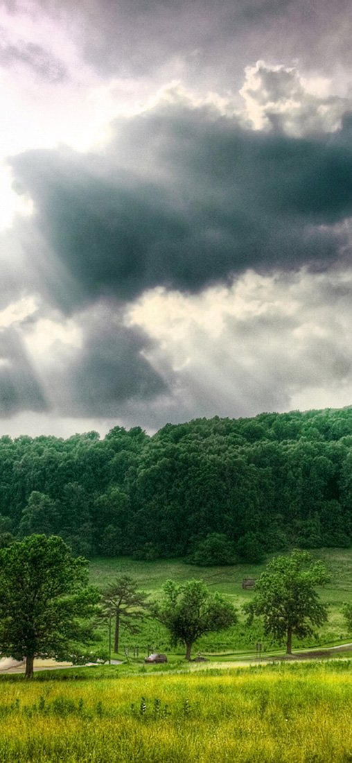 PeelitStickit, Beautiful Nature Wall Murals, ID-1287, vinyl