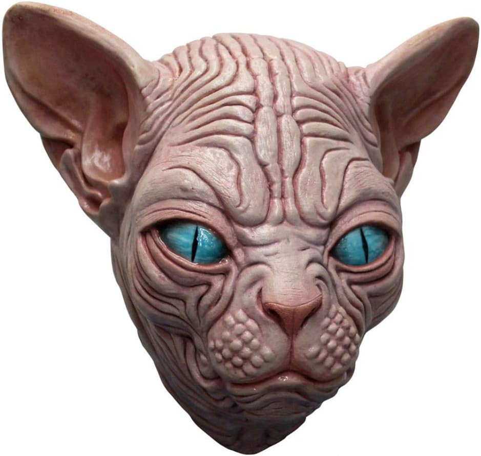 Masque De Chat Creepy Sphynx Amazon Fr Jeux Et Jouets