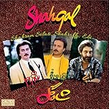 Shahgol (Vinyl) - Persian Music