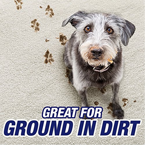 Resolve Pet Carpet Cleaner Powder, For Dirt Stain & Odor Removal